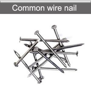 Common nails